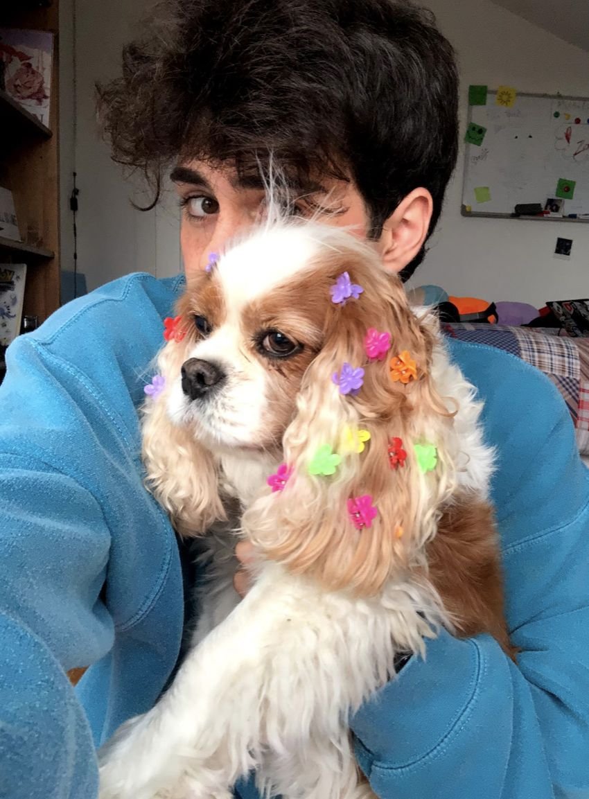 Emily Kaufman's puppy